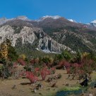 Manang Valley Autumn